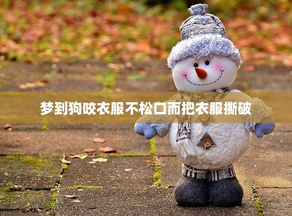 梦到狗咬衣服不松口而把衣服撕破