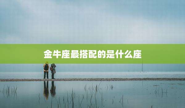 金牛座最搭配的是什么座