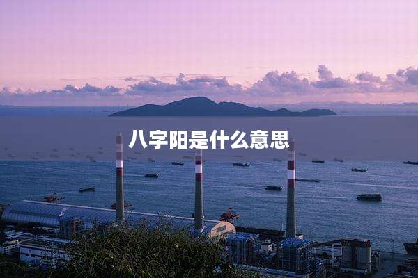 八字阳是什么意思