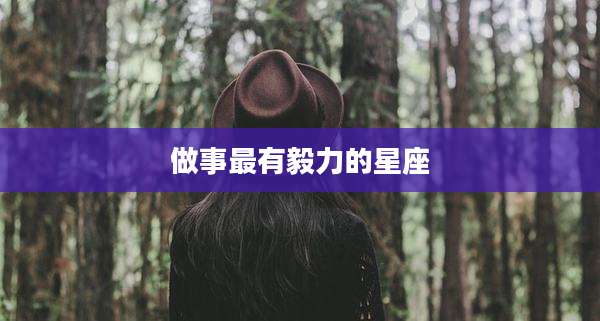 做事最有毅力的星座