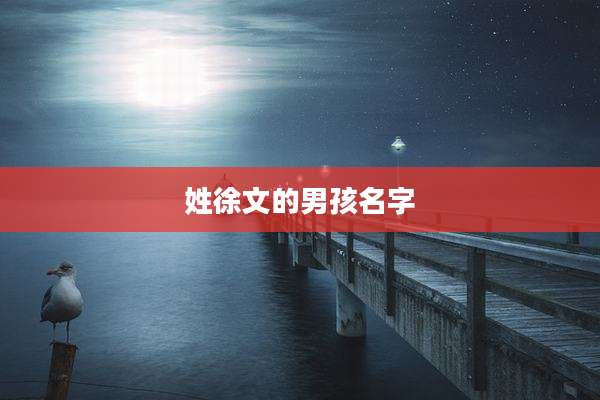 姓徐文的男孩名字