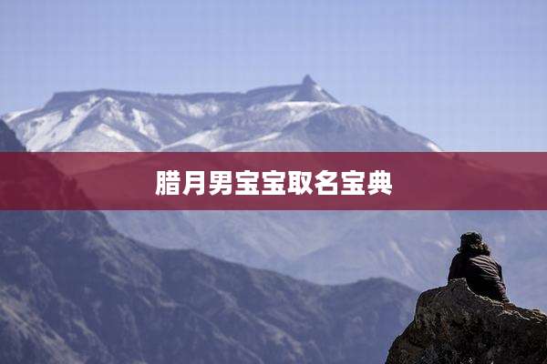 腊月男宝宝取名宝典