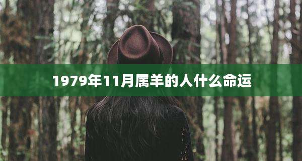 1979年11月属羊的人什么命运