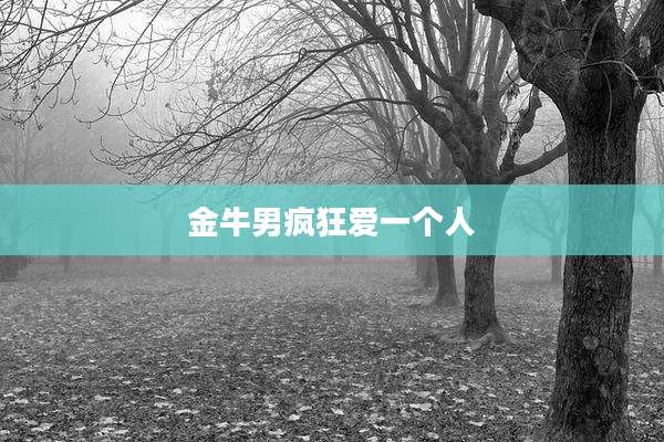 金牛男疯狂爱一个人