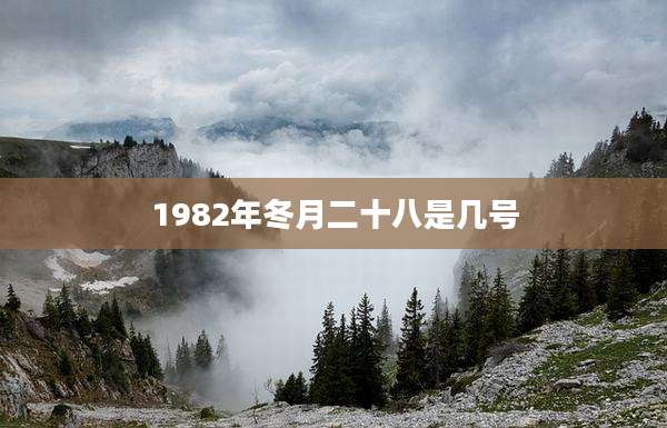 1982年冬月二十八是几号