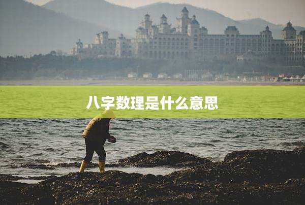 八字数理是什么意思