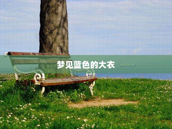 梦见蓝色的大衣