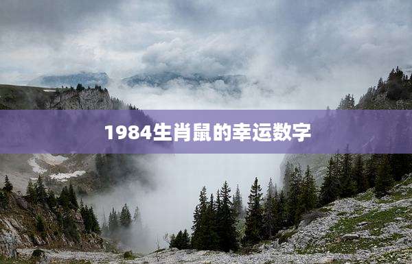 1984生肖鼠的幸运数字