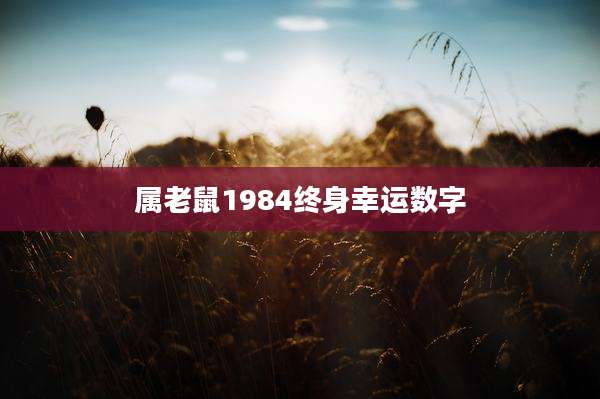 属老鼠1984终身幸运数字