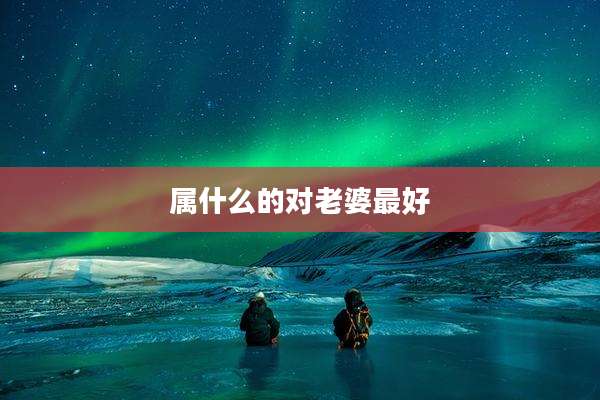 属什么的对老婆最好