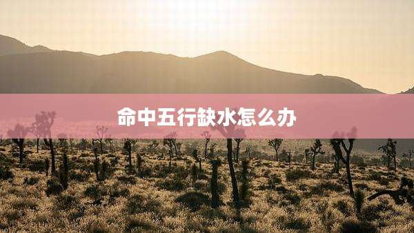 命中五行缺水怎么办