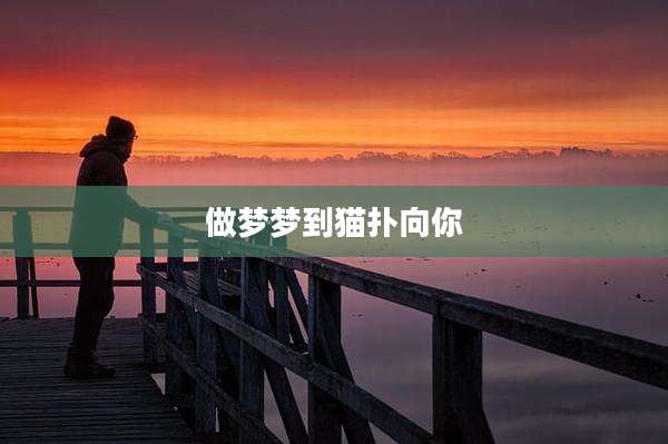 做梦梦到猫扑向你