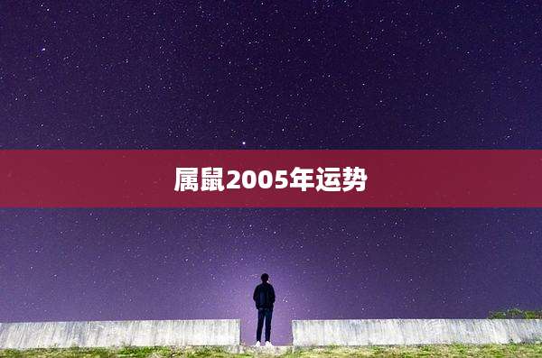 属鼠2005年运势