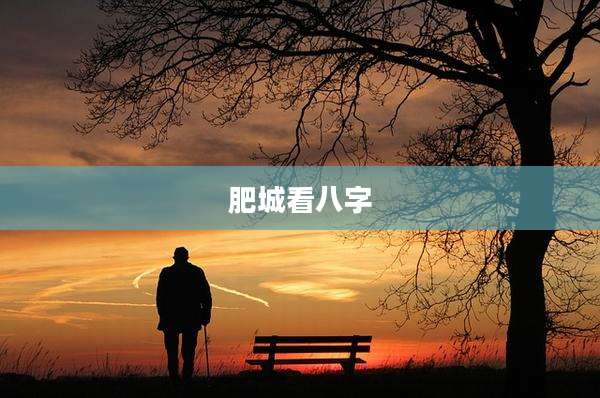 肥城看八字