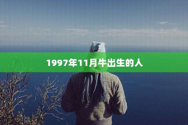1997年11月牛出生的人