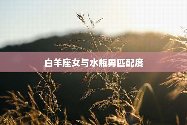 白羊座女与水瓶男匹配度