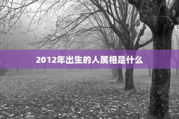 2012年出生的人属相是什么