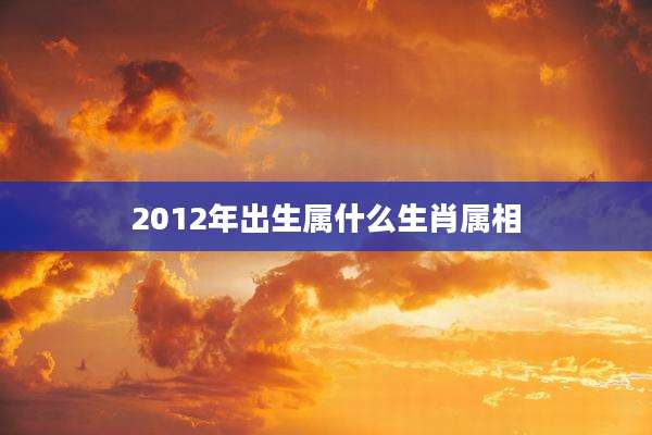 2012年出生属什么生肖属相