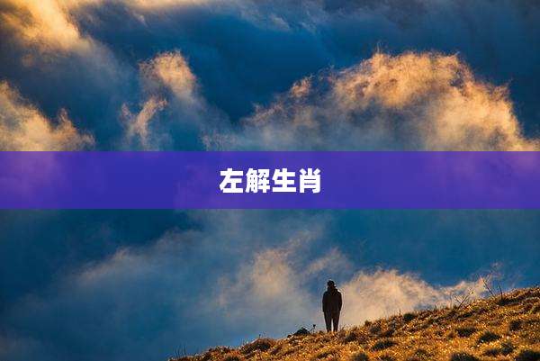 左解生肖