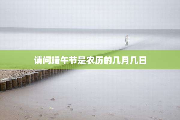 请问端午节是农历的几月几日