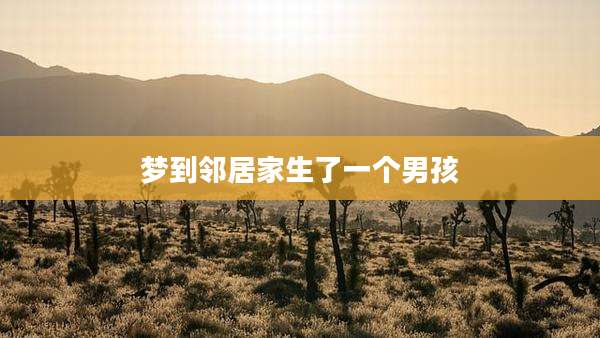 梦到邻居家生了一个男孩