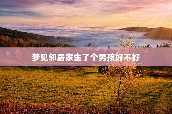 梦见邻居家生了个男孩好不好