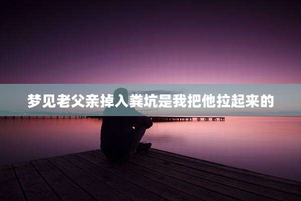 梦见老父亲掉入粪坑是我把他拉起来的