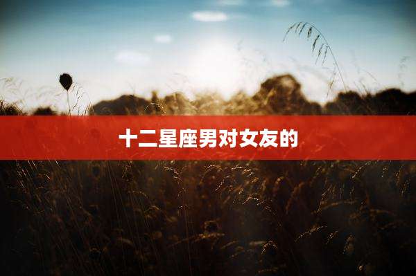 十二星座男对女友的