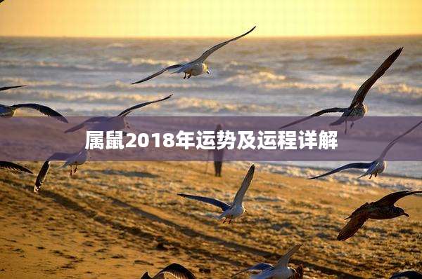 属鼠2018年运势及运程详解