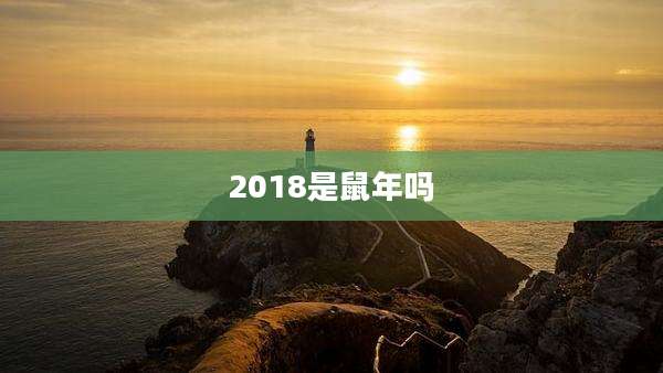 2018是鼠年吗