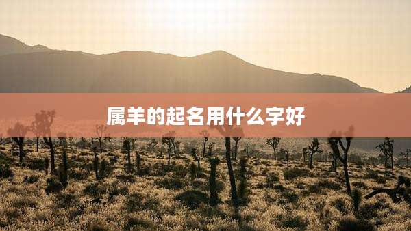 属羊的起名用什么字好