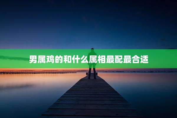 男属鸡的和什么属相最配最合适
