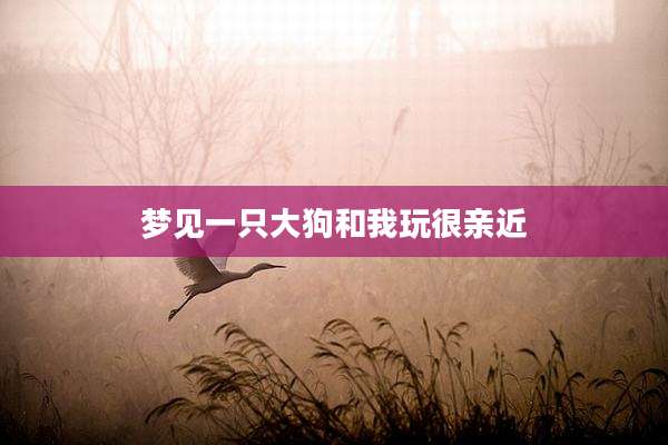 梦见一只大狗和我玩很亲近