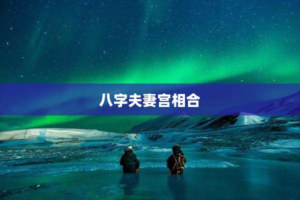 八字夫妻宫相合