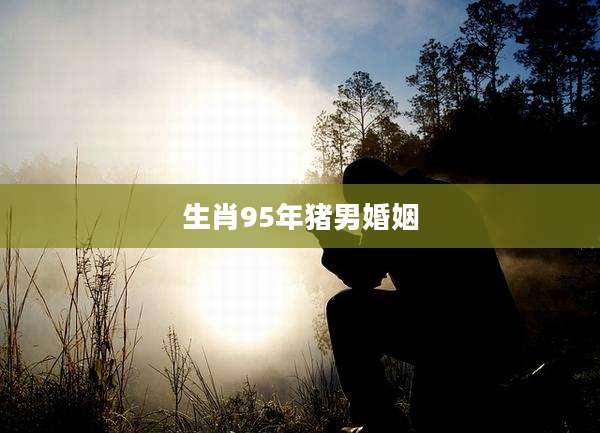 生肖95年猪男婚姻