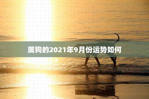 属狗的2021年9月份运势如何
