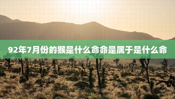 92年7月份的猴是什么命命是属于是什么命