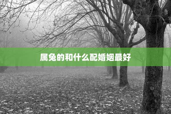 属兔的和什么配婚姻最好