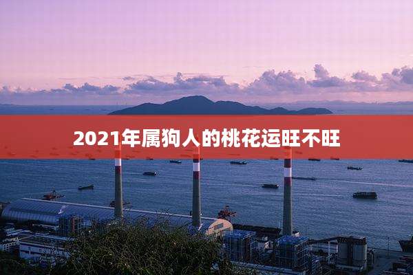 2021年属狗人的桃花运旺不旺