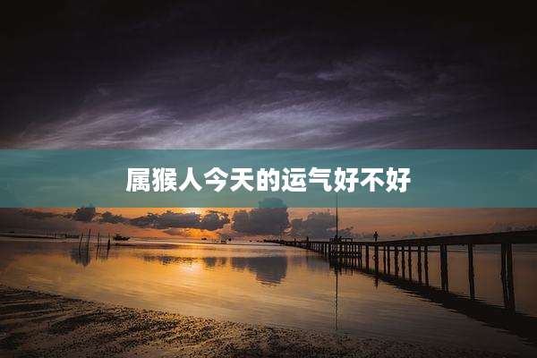 属猴人今天的运气好不好