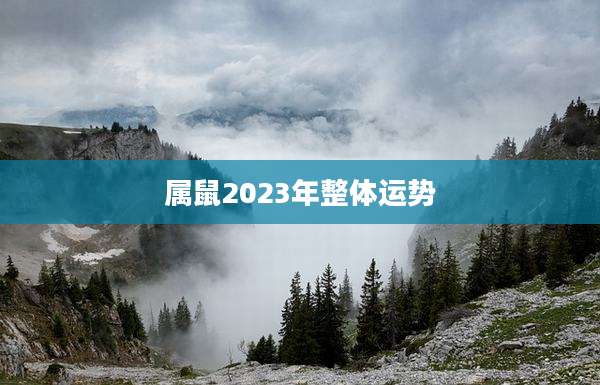 属鼠2023年整体运势