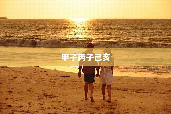 甲子丙子己亥