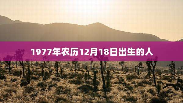 1977年农历12月18日出生的人