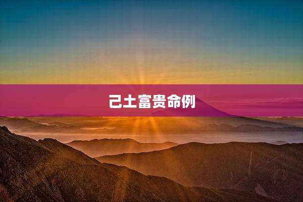 己土富贵命例