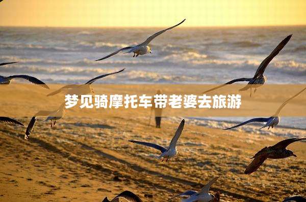 梦见骑摩托车带老婆去旅游