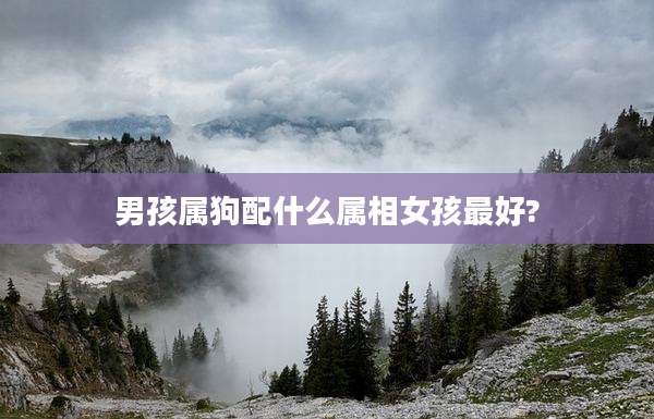 男孩属狗配什么属相女孩最好?