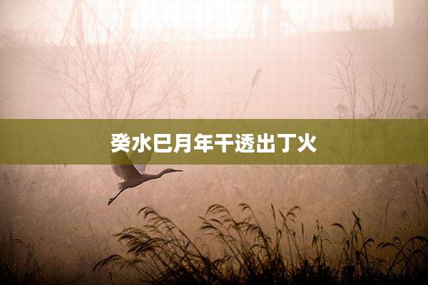 癸水巳月年干透出丁火