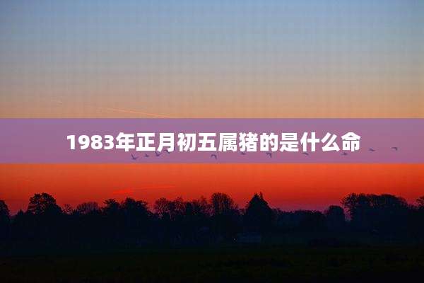 1983年正月初五属猪的是什么命
