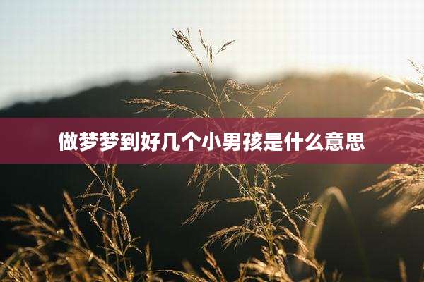 做梦梦到好几个小男孩是什么意思
