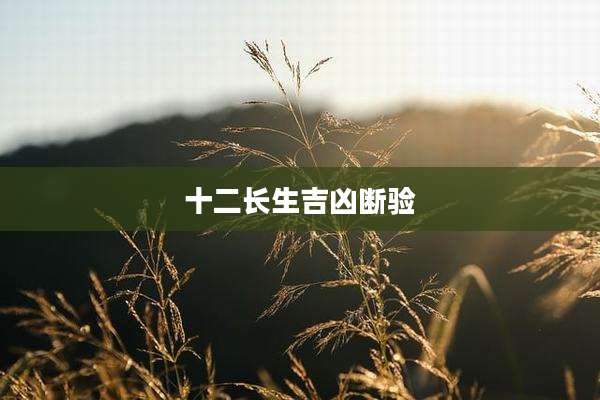 十二长生吉凶断验